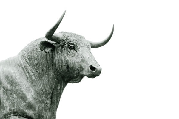 taurus-unsplash-resize.jpg