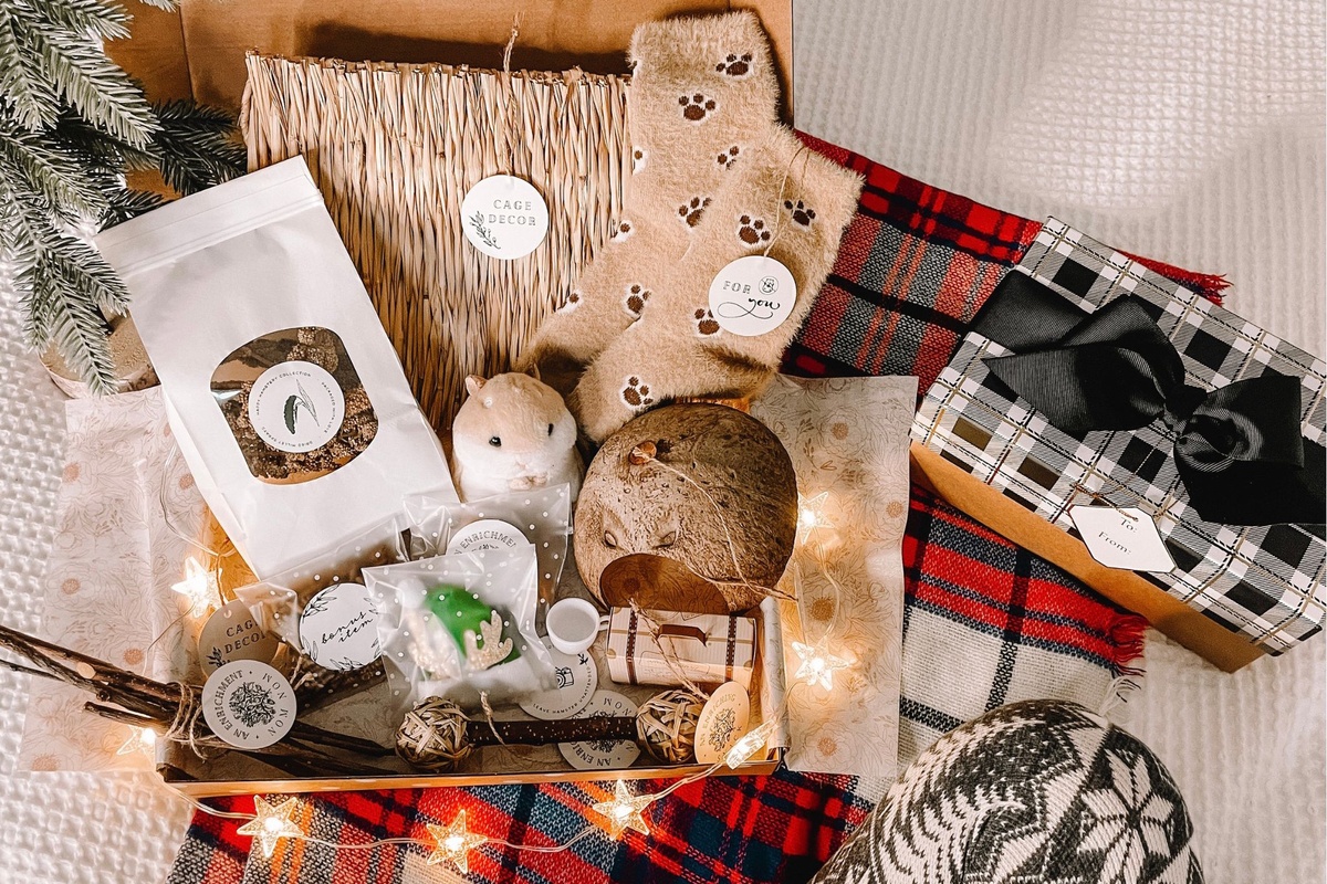 hamster box subscription