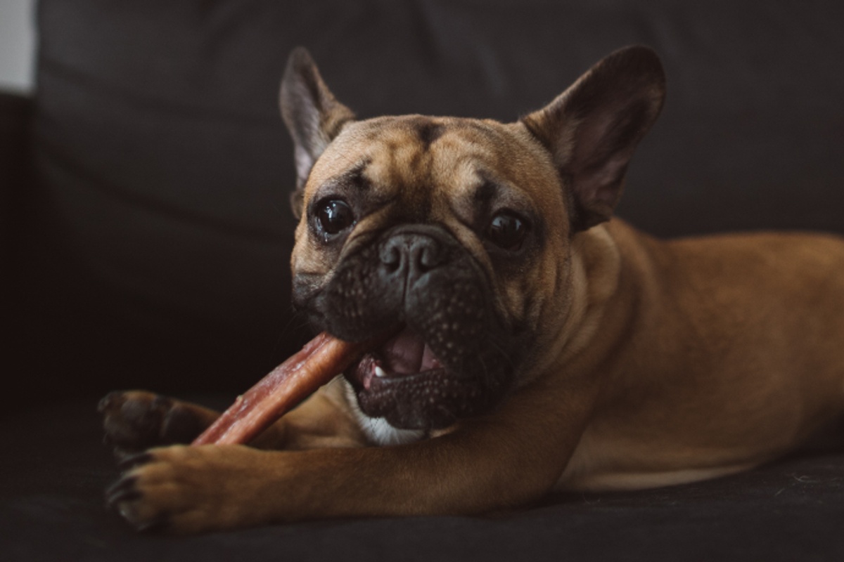 Bully Bundles Monthly Bully Stick Subscription Box Cratejoy