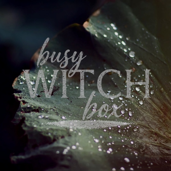 Busy Witch Box logo