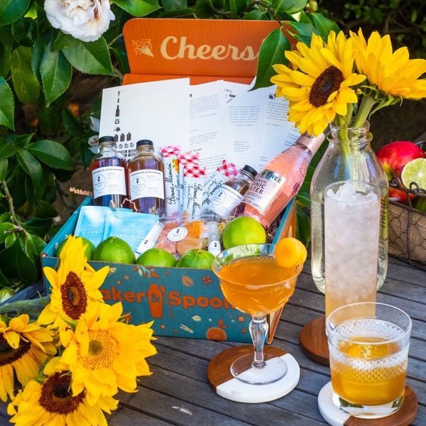 Shaker & Spoon Monthly DIY Cocktail Club Cratejoy