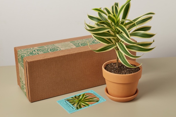 Garden And Plant Subscription Boxes Cratejoy